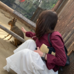 小さな幸せと一緒に、定年後の新しい道を歩いています 